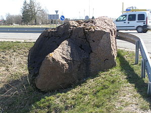 Dyburiai Molkio akmuo 20100423.JPG