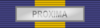 Medaglia PESD PROXIMA ribbon bar.png