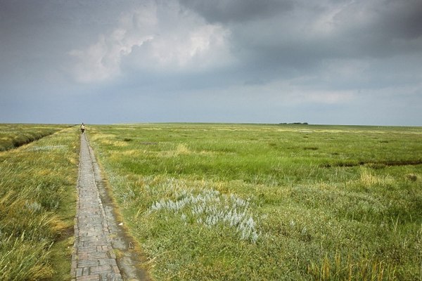 Marshland in Eiderstedt, typical of the North Frisian coast