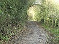 Thumbnail for File:Ensors Path 1 - geograph.org.uk - 3244775.jpg