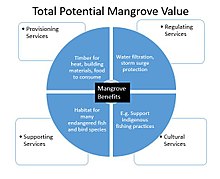 Figure 1. Example of ecosystem services range for mangrove habitat EnvironmentalServicesPie.jpg