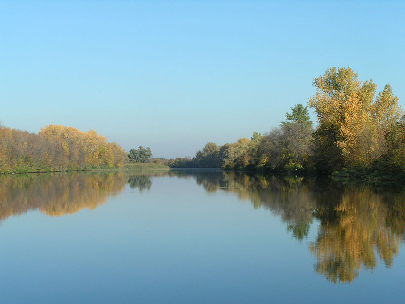 File:Erik Kashirin. Volga-Akhtuba floodplain.JPG