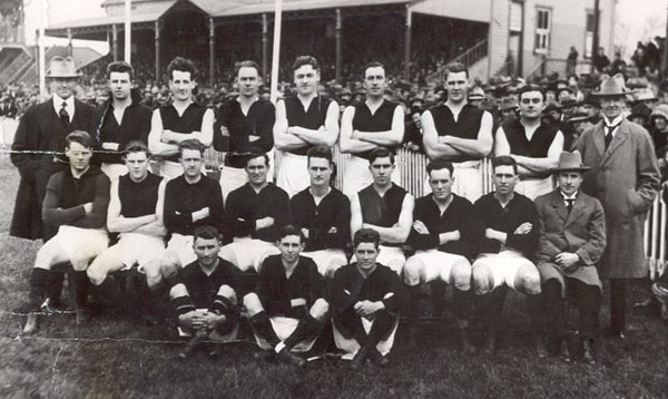 Essendon Football Club, Premiers