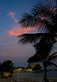 Evening light, Barbados (6910941889).jpg