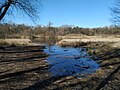 Vorschaubild für Fauler See (Berlin-Weißensee)