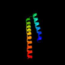 Predicted secondary structure of C22orf23. 53% of the sequence is predicted as disordered and cannot be predicted with confidence. It has a coverage modeled of 28% with a 42.9% confidence. The image was created using Phyre2. Final.casp.big.png