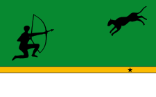 Flagge der Amazonas-Abteilung