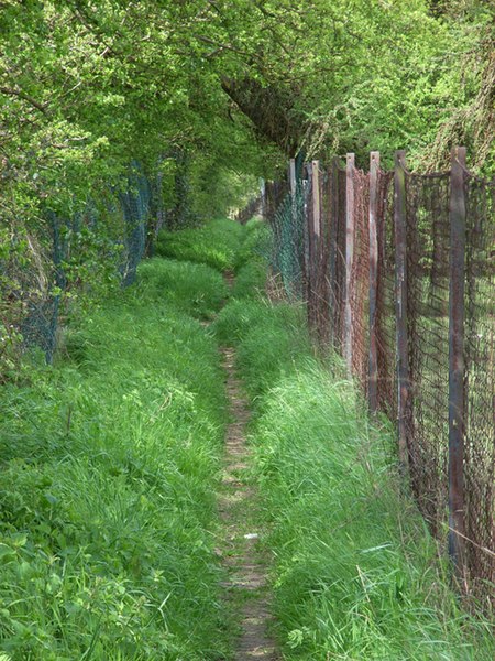 File:Footpath at Holtspur - geograph.org.uk - 162804.jpg