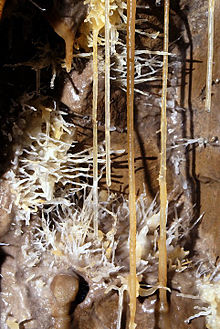 Calcite formations in Witches II cave. Formations in Witches II cave, Lancashire, England.jpg