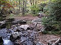 Fox Creek (west of Troutdale, Virginia, USA) 1 (30144005850).jpg