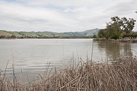 Lake Elizabeth, Fremont, California