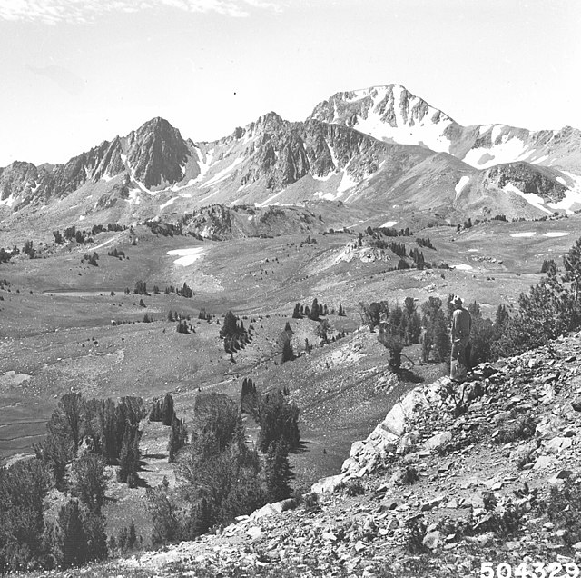 A photograph taken of the Forest in 1962
