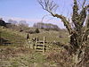 Brána a Stile - geograph.org.uk - 141250.jpg