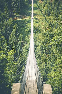 Geierley Hängebrücke im Hunsrück