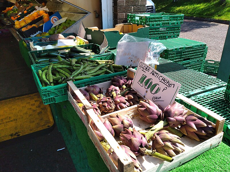 File:Globe artichokes.jpg