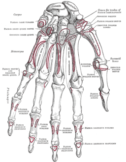 Gray219