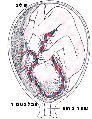 תמונה ממוזערת לגרסה מ־12:11, 18 בספטמבר 2009