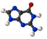 Image illustrative de l’article Guanine