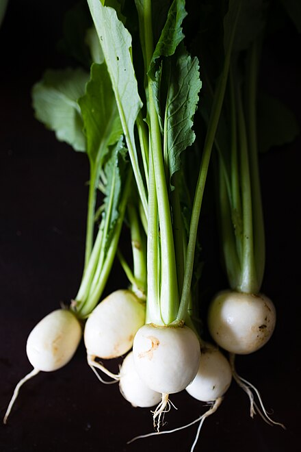 A bunch of Hakurei turnips