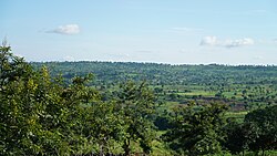 Deforestation in Derixörs