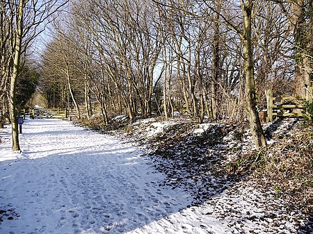 Heddon station Geograph 3309858 by Andrew Curtis