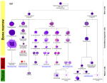 Ново SVG изображение