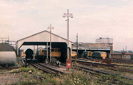 Hither green TMD 1980