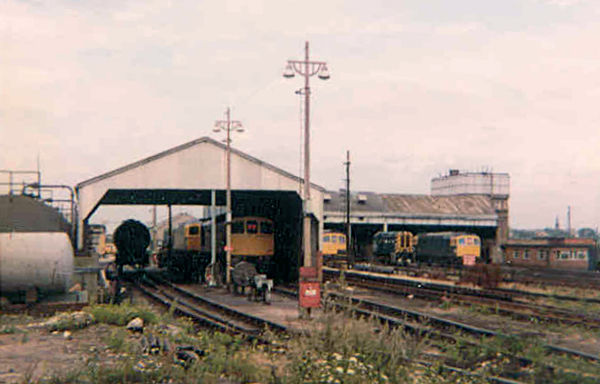 Hither Green TMD in August 1980. Engines present include Class 33 locos and Class 08 shunters