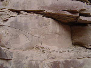 Hummocky cross-stratification sandstone sedimentary structure, Cretaceous era Book Cliffs formation, Utah. HumXSec.JPG