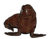 Restoration of the Miocene walrus Imagotaria Imagotaria downsi cropped.png