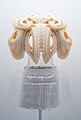 * Nomination Iris van Herpen ensemble, autumn/winter 2011-12 haute couture, edition 2015 --Rhododendrites 00:52, 28 May 2024 (UTC) * Promotion  Support Good quality. --Skander zarrad 06:23, 28 May 2024 (UTC)