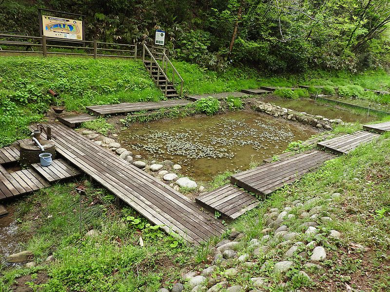 File:Ishikawa Zoo - 04 - 2016-04-22.jpg