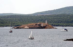 Illa de sa Sargantana