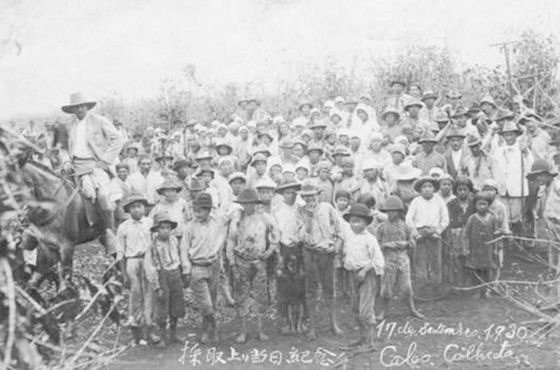 File:Japanese Workers in Coffee Gathering.jpg