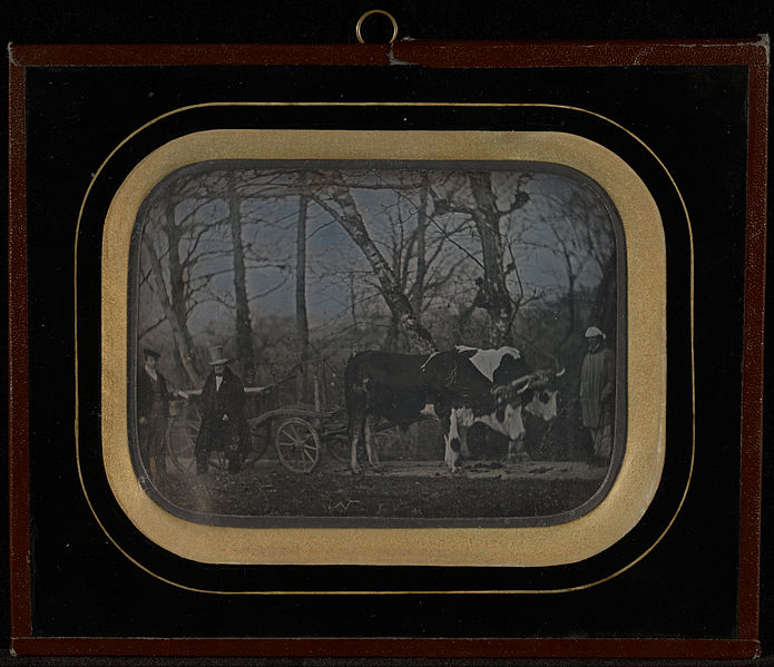 File:Jean-Gabriel Eynard (Swiss - (Jean-Gabriel Eynard with two servants and an ox-drawn wagon) - Google Art Project.jpg