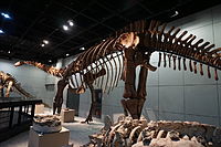 Jiangshanosaurus