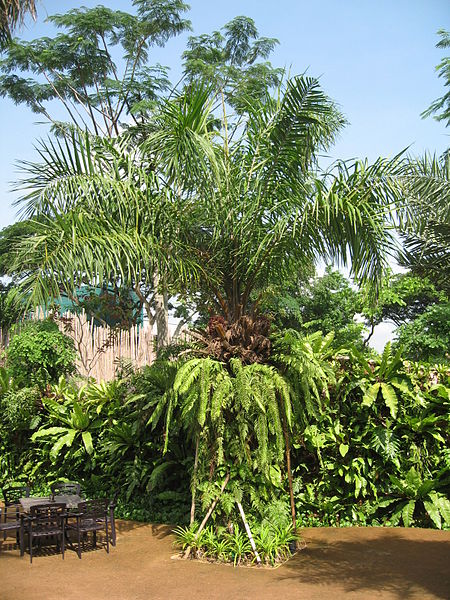 File:Jurong BirdPark 10.JPG