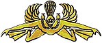 Subversive reconnaissance amphibian parachutist badge of Taifib