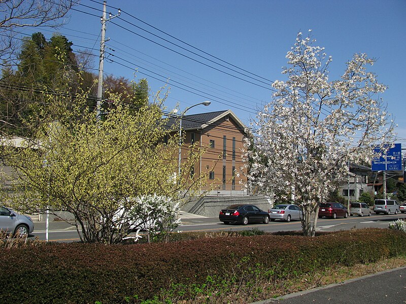 File:Kanagawa Route 12 -02.jpg