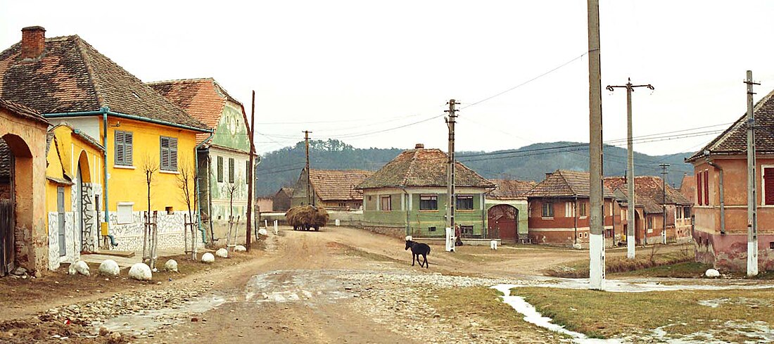 Cașolț