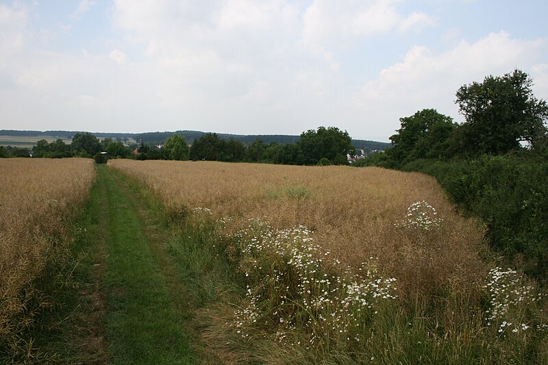 File:Kleinkastell Stammheim.jpg