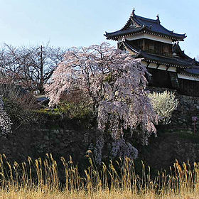 Koriyama Castle Nara-b.jpg