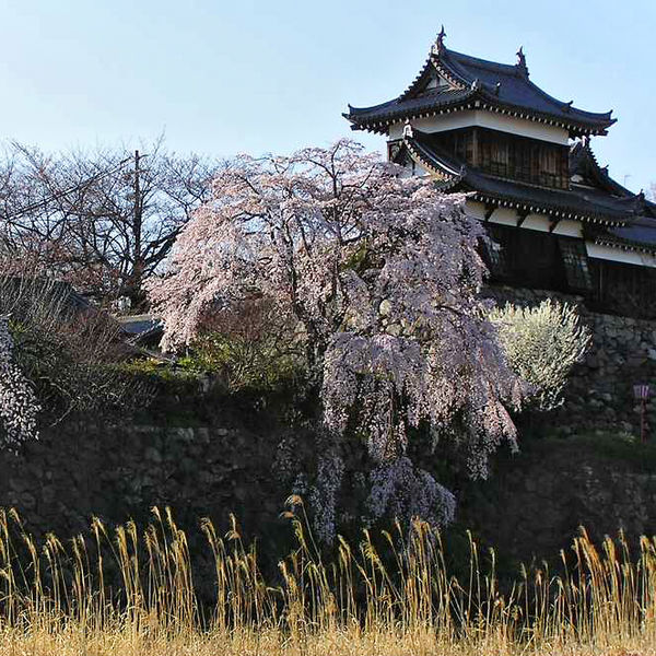 The restored turret of Kōriyama Castle