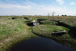 Карстовий ландшафт на околицях селища Костівере