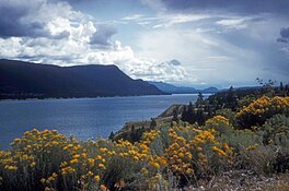 LAKE WINDERMERE, BRITISH COLUMBIA.jpg