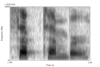 Spectrogram 1