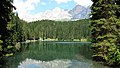 Lago di Carezza - Vista lago.jpg