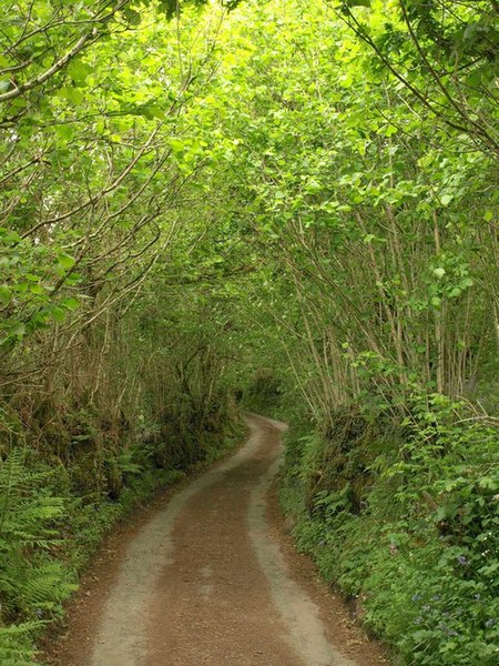 File:Lane to Daveytown - geograph.org.uk - 2415582.jpg