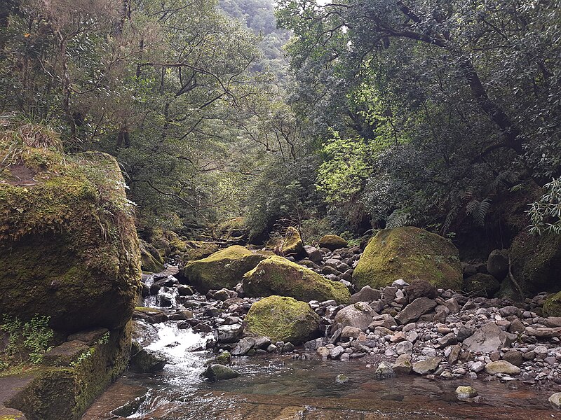 File:Levada dos Tornos, Madeira, beginning.jpg