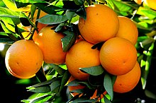 Jus d'orange — Wikipédia